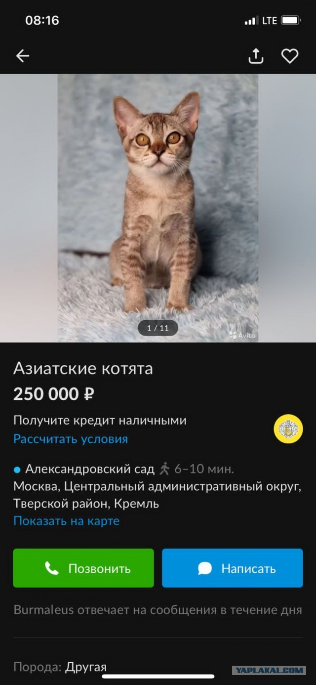 Кто хотел ориентала?