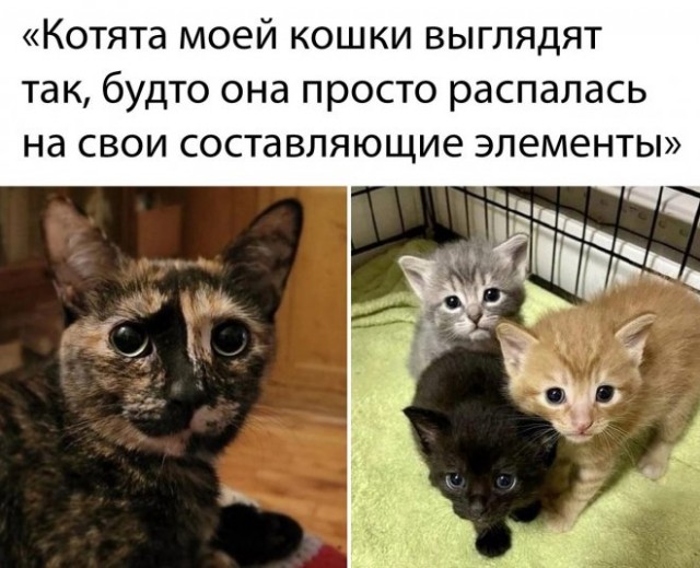 Немного картинок для настроения - 112
