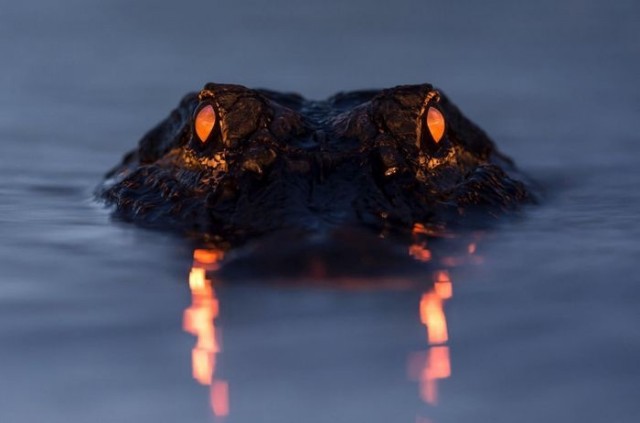 Необычные картинки 04.11.22