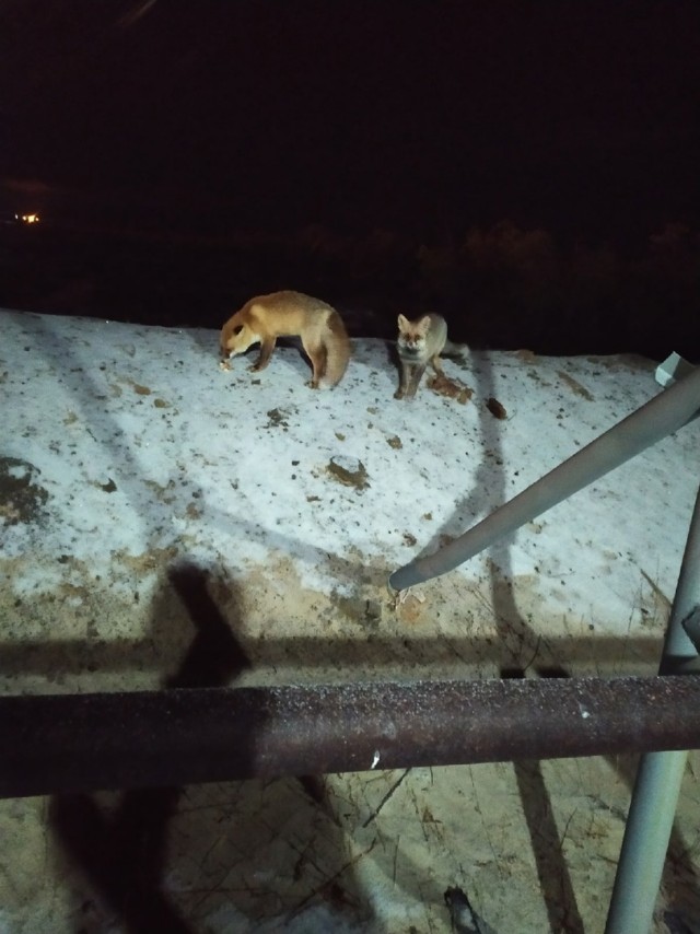 Будни бурения