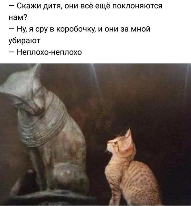 И вот Милаха привел третьего))