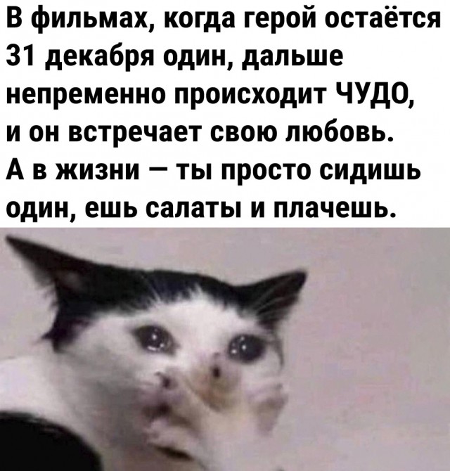 Так себе картинки 17.12.22