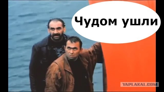 Шустрые перцы