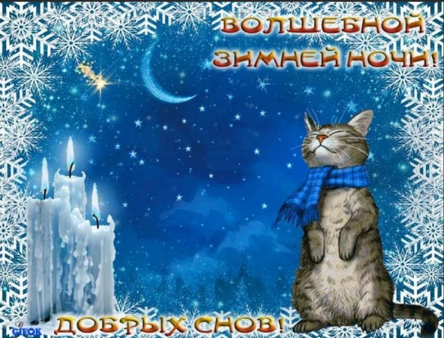 Победная поступь идиотизма по планете – том 6