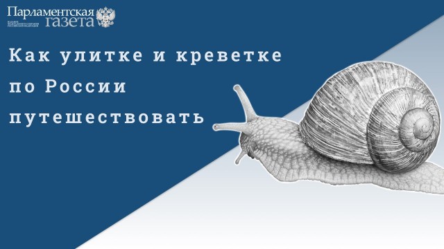 Победная поступь идиотизма по планете – том 7