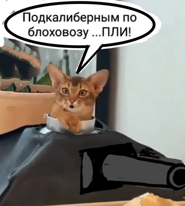 В прошлой жизни был танкистом
