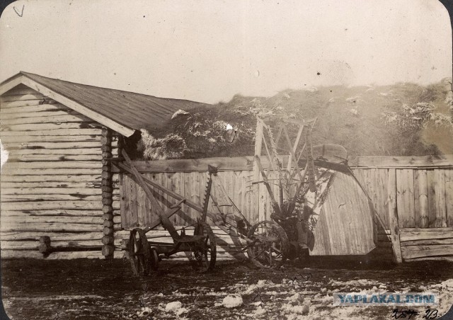 Сибирское казачье войско 1909г. Лица. Виды