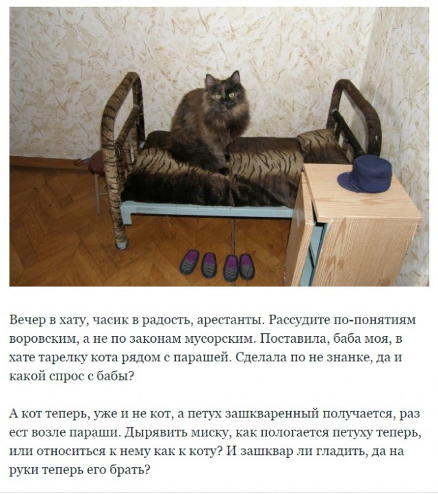 Пятничные веселые буквы