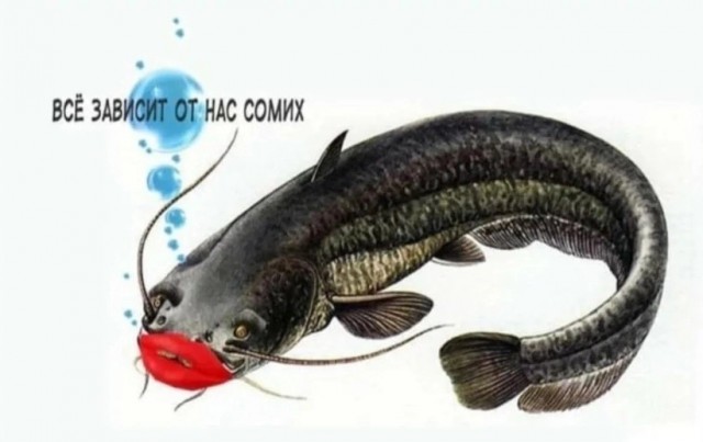 Немного картинок и прочей хреноты Vol. 24