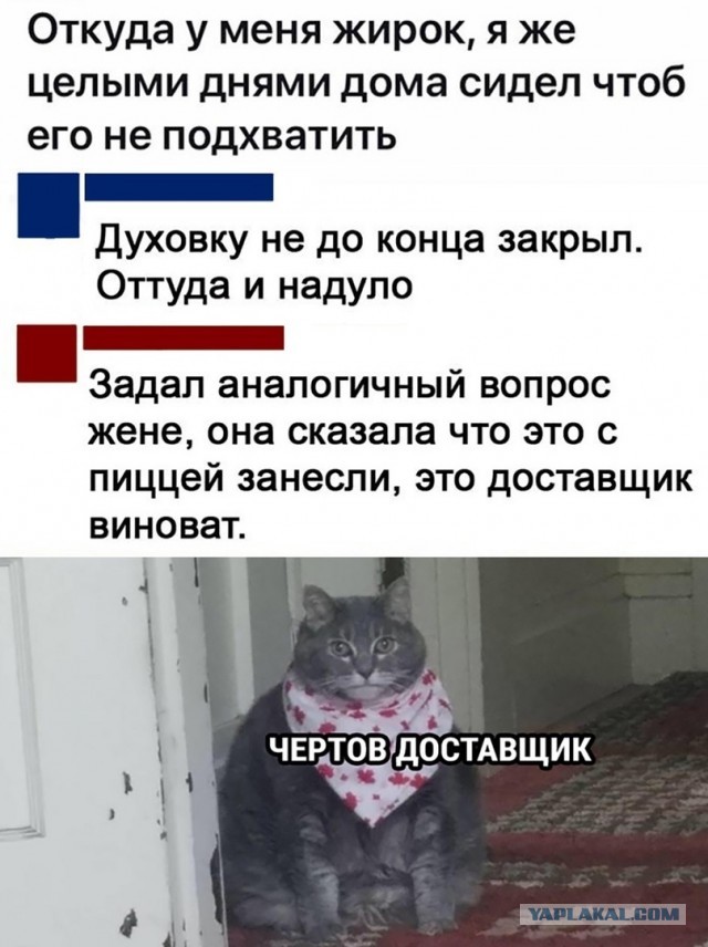 Весёлый полтишок 08.07.23