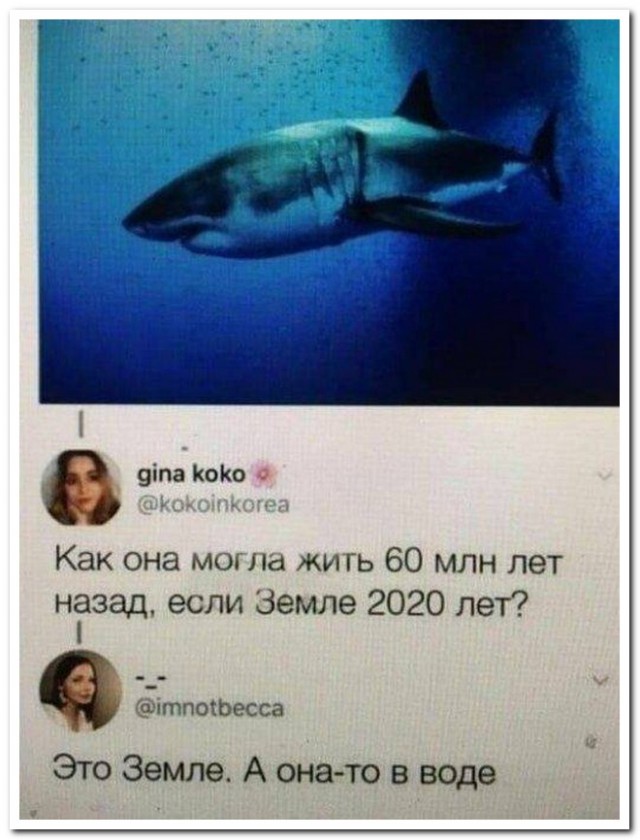 Забавные комментарии из социальных сетей (17.07.23)