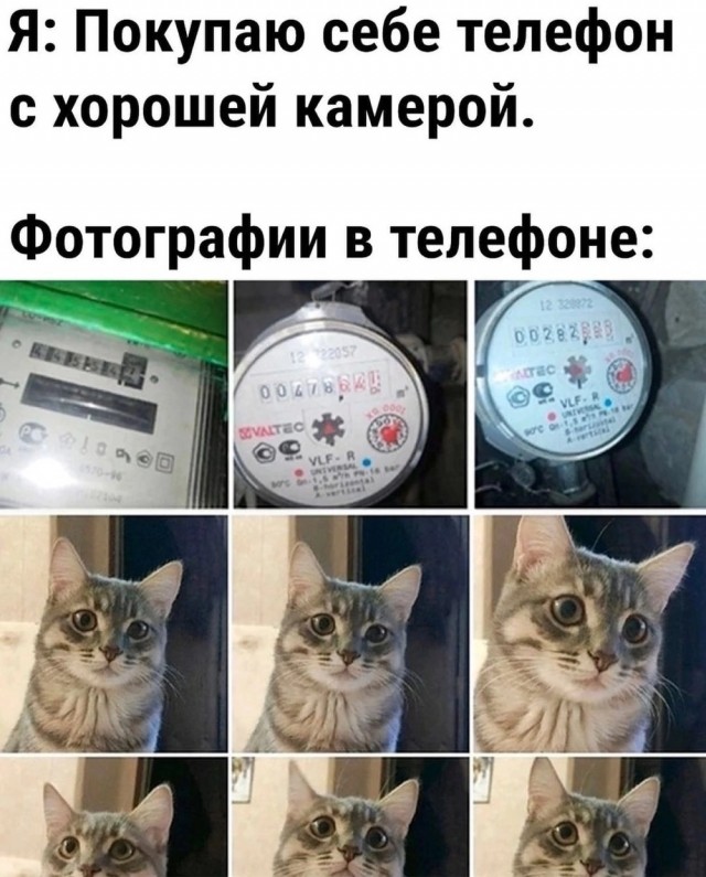 Весёлый полтишок 30.07.23