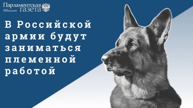 Демократия в опасности!