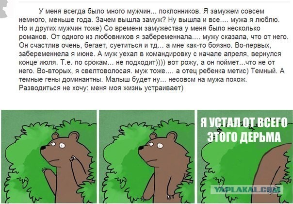 Жизнь устраивает