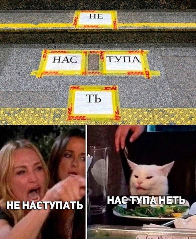 Картинки от Scodero 8