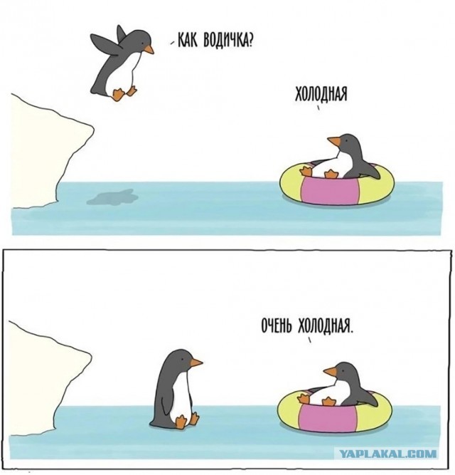 "Вот холодный бассейн"