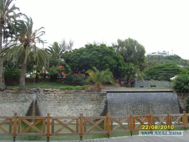 Хочу дачу на канарах!