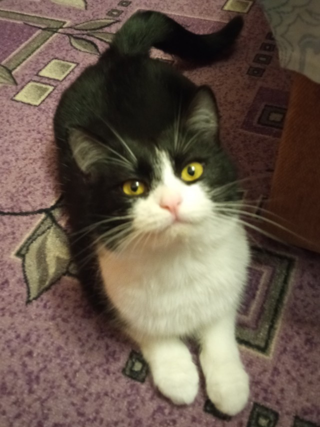 Попал в рабство