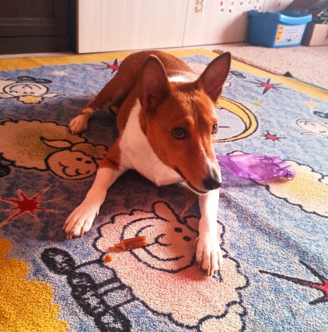 Девочка, которая не бросит