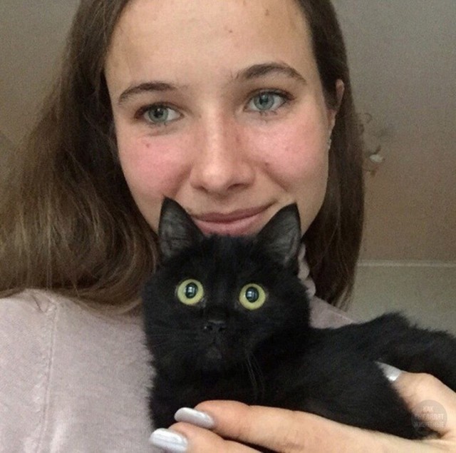 Подборка котов, нашедших свой дом