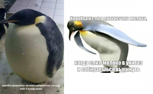 Картиночки, LOL