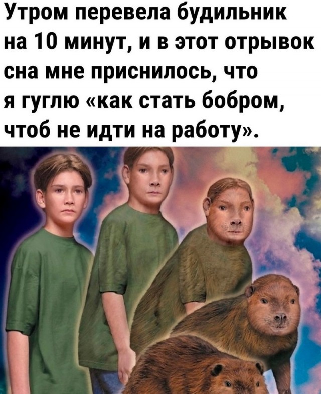 Завалялось тут случайно немного забавных картинок