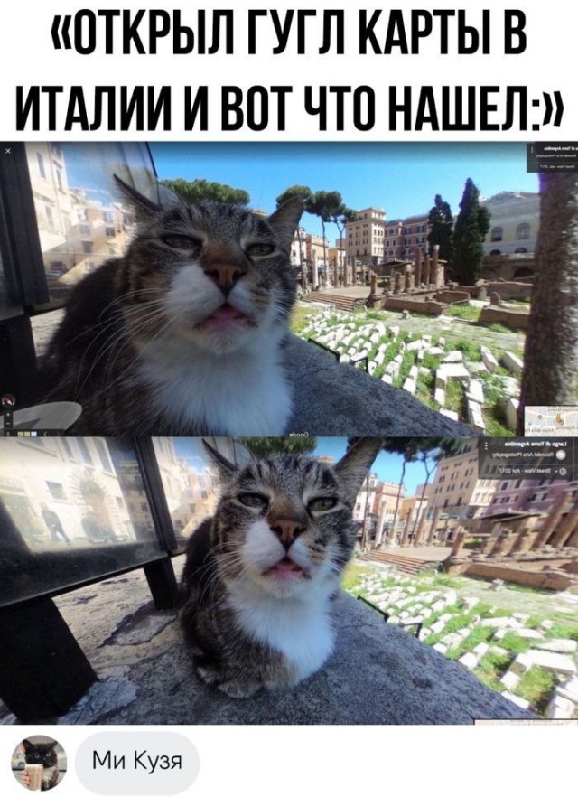 Немного забавных видео и картинок