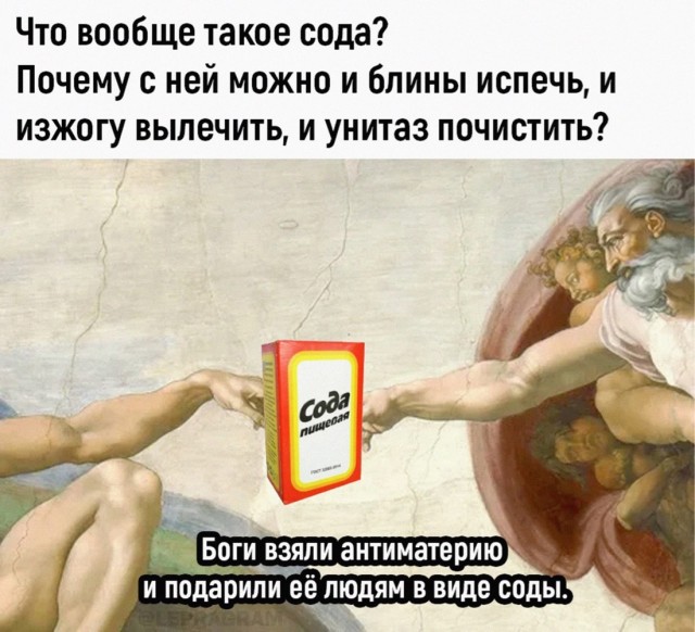 Весёлый полтишок 13.08.24