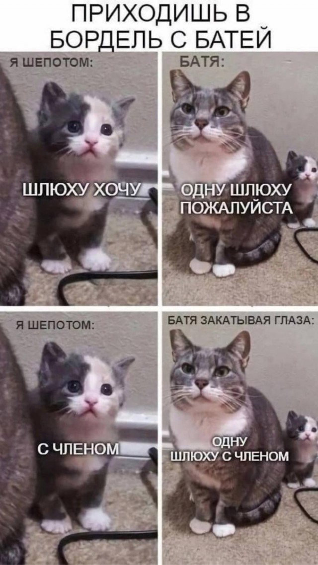 10 чёрных картинок