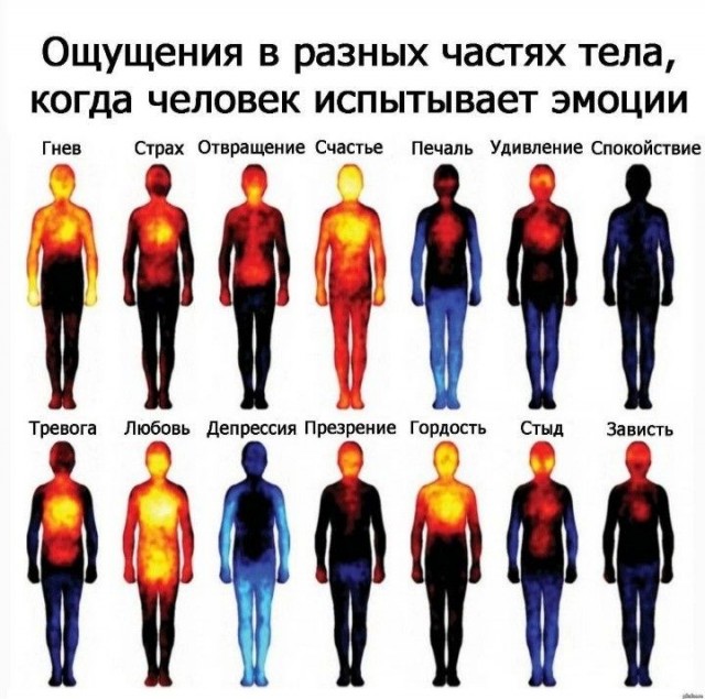 Прикольные и просто красивые картинки 24.12.2024