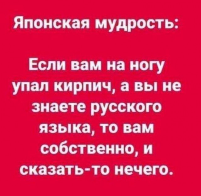 Так себе картинки 11.01.25