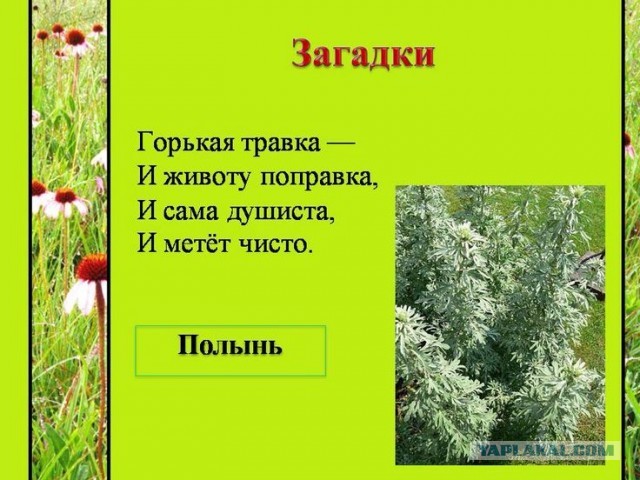 В Канске мужчина решил приготовить наркотик прямо в больничной палате