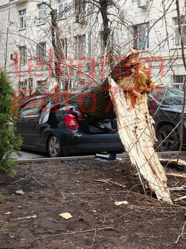 Ветер в Москве.