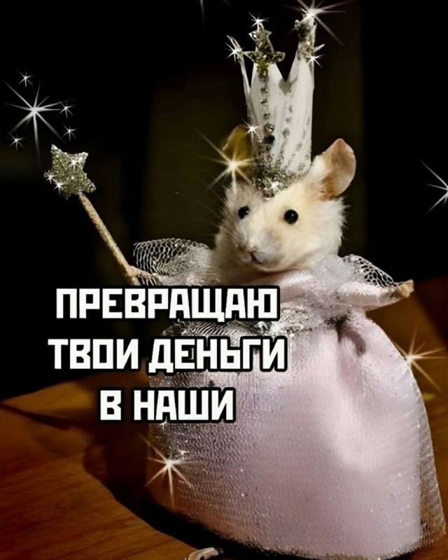 Немножко случайных картинок