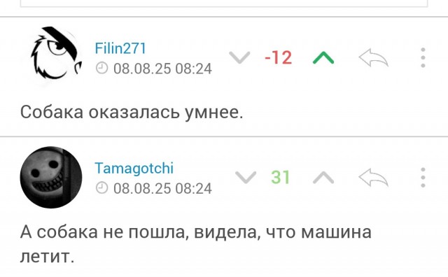 Собака осталась без хозяйки
