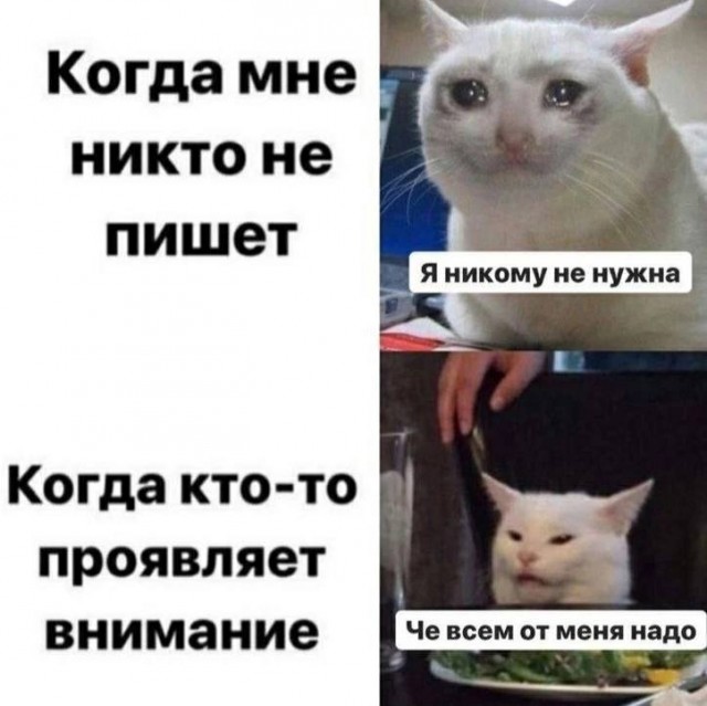 Немного картинкафф для настроения (баяны-перебаяны)