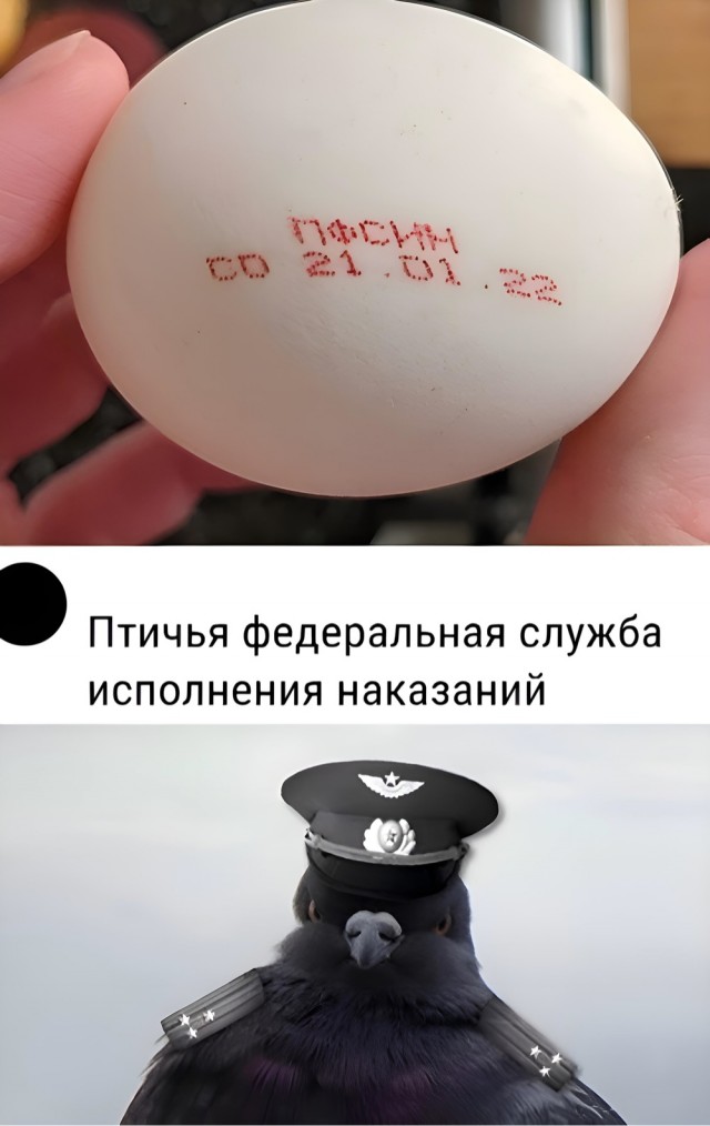 Картинки для деградации 45 (разной степени свежести)
