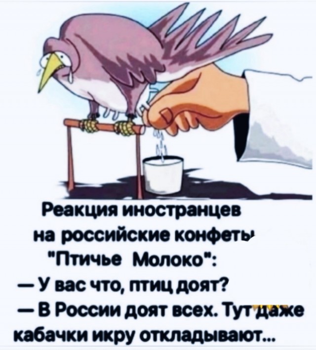 Чучуть картинок разных