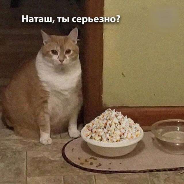 Так себе картинки 04.01.26