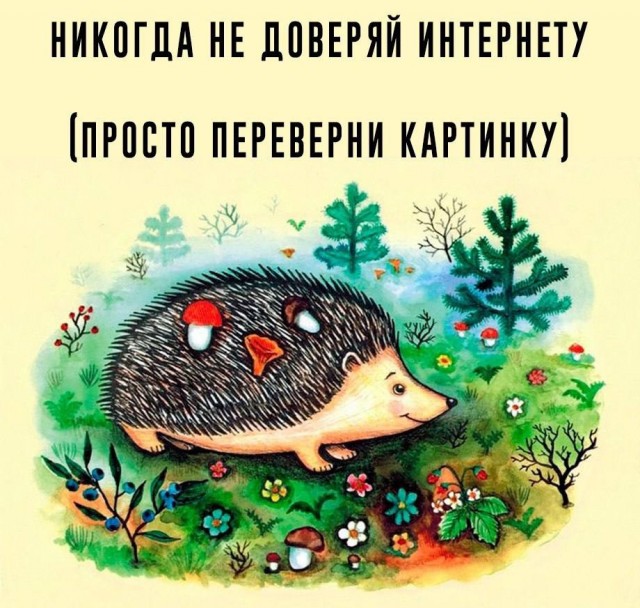 Среды картинки