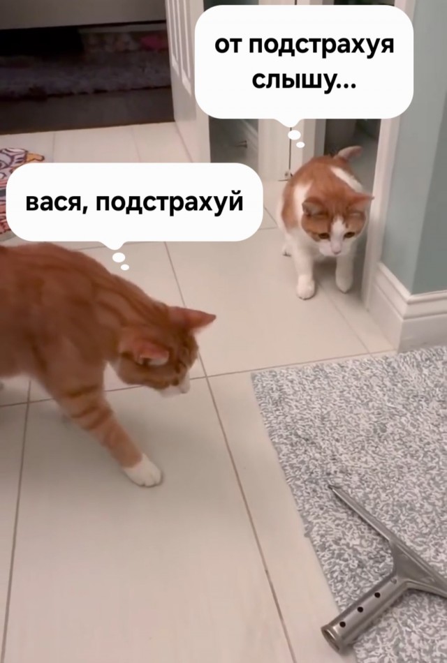 Страшная шелезяка
