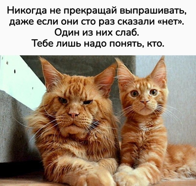 Так себе картинки 13.06.26