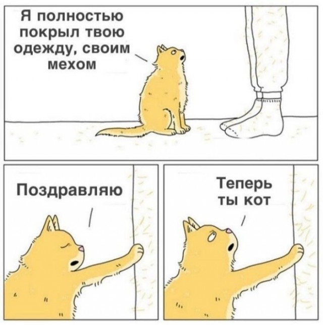 Картинки для деградации 230 (разной степени свежести)