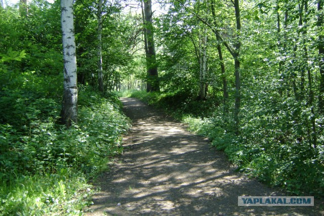 Новосибирск