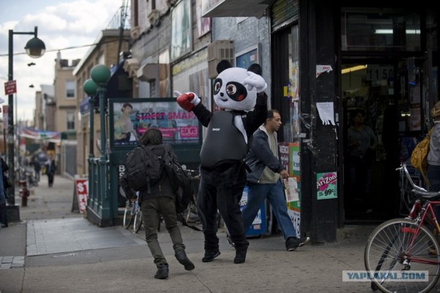 Один день из жизни Панды Пни Меня