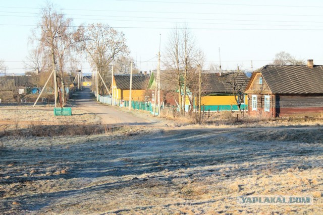 Беларусь из окна электрички