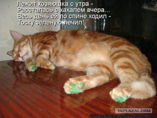 Когда вы плюсуeтe тему в платине