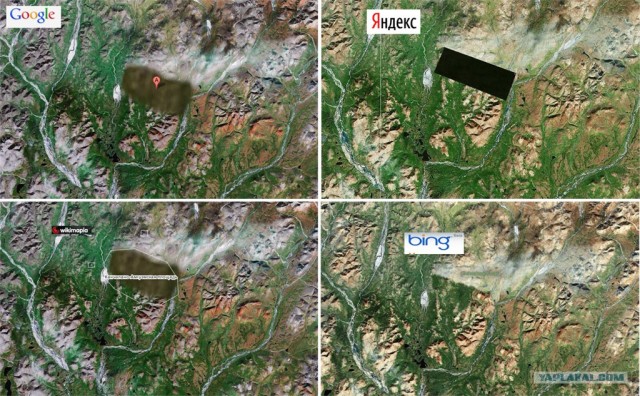 Пять научных открытий, сделанных с помощью Google