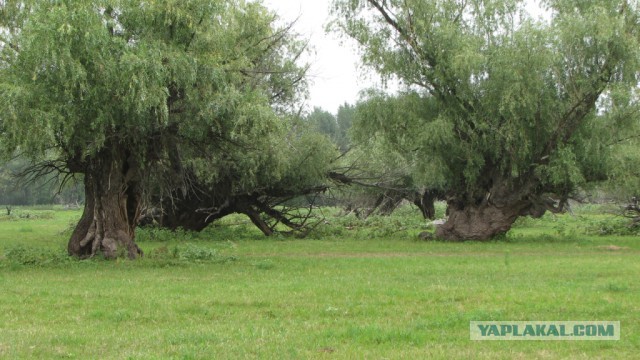 Фотографии, в которых очень сложно узнать Россию