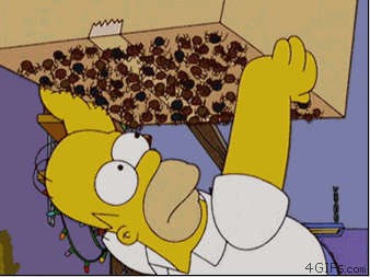 Не ходите за пауками